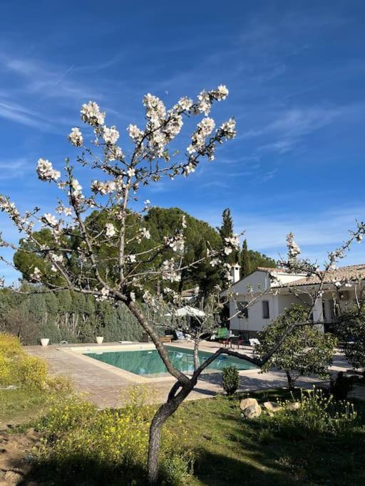 Casa Galiana. Villa Argés Екстериор снимка